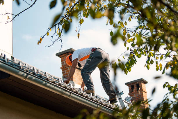 Best Metal Roofing Installation  in South Run, VA