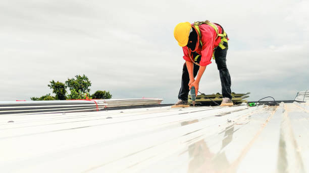 Best Roof Coating and Sealing  in South Run, VA