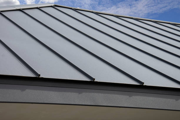 Best Roof Moss and Algae Removal  in South Run, VA