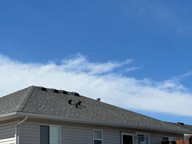Best Gutter Installation and Repair  in South Run, VA