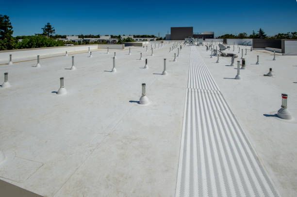 Best Roof Leak Repair  in South Run, VA